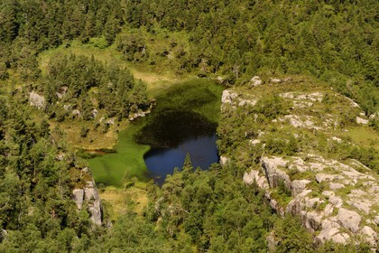 Norway, Rogaland County, around Lysefjord, hiking trail leading to Preikestolen Rock