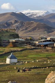 Azerbaïdjan, région de Quba (Guba), chaine de montagne du Grand Caucase, village de Giriz à l'aube, femme amenant ses vaches au prés