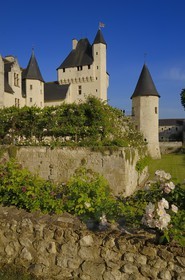 France, Indre et Loire, Chateau du Rivau