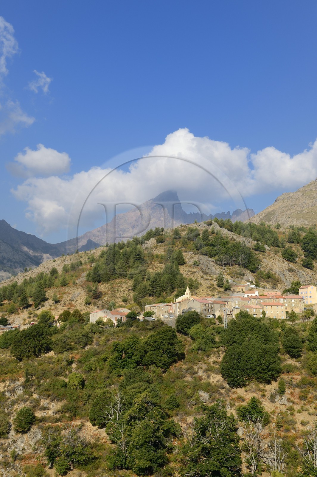 France, Haute-Corse (2B), région du Niolu (Niolo), Calasima plus haut village de Corse (1 095m) au pied de la montagne du Paglia Orba en forme d’aileron de requin