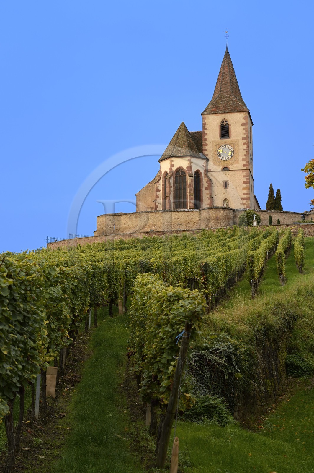 France, Haut-Rhin (68), Route des Vins d'Alsace, Hunawihr, labellisé Les Plus Beaux Villages de France, Eglise de Sainte-Hune