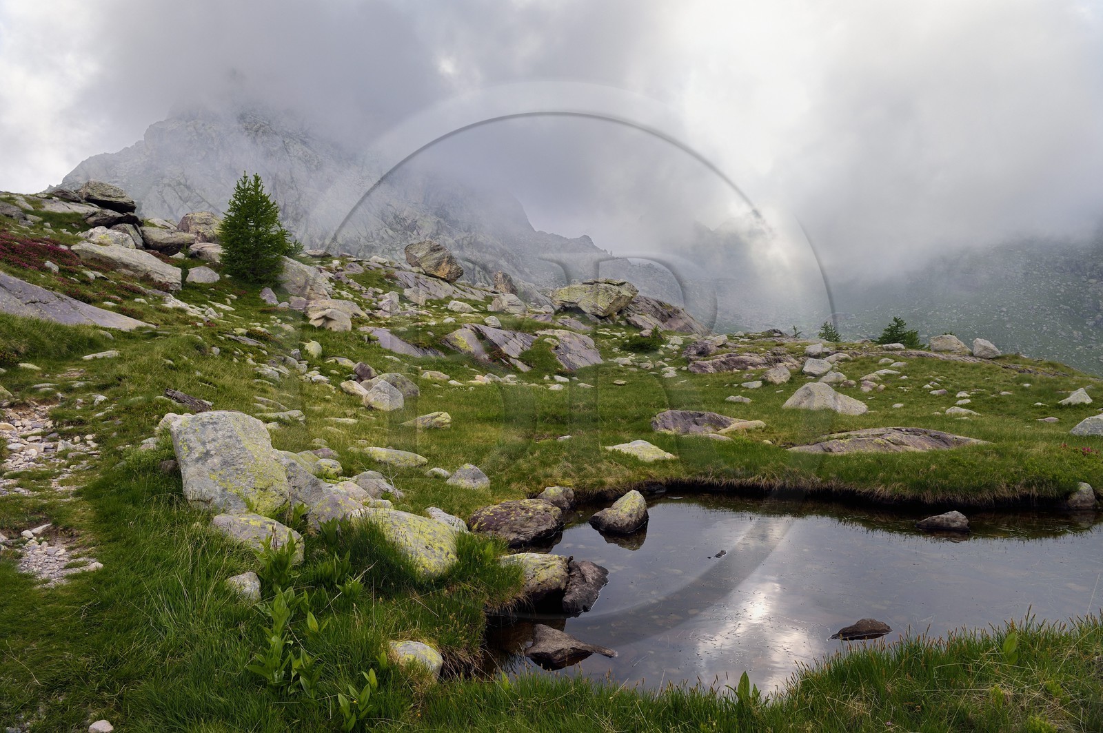France, Alpes-Maritimes (06), parc national du Mercantour, Vallée des Merveilles parsemée de milliers de gravures rupestres de l'Age de bronze, la montagne Cime des Lacs (2510m) en arrière plan