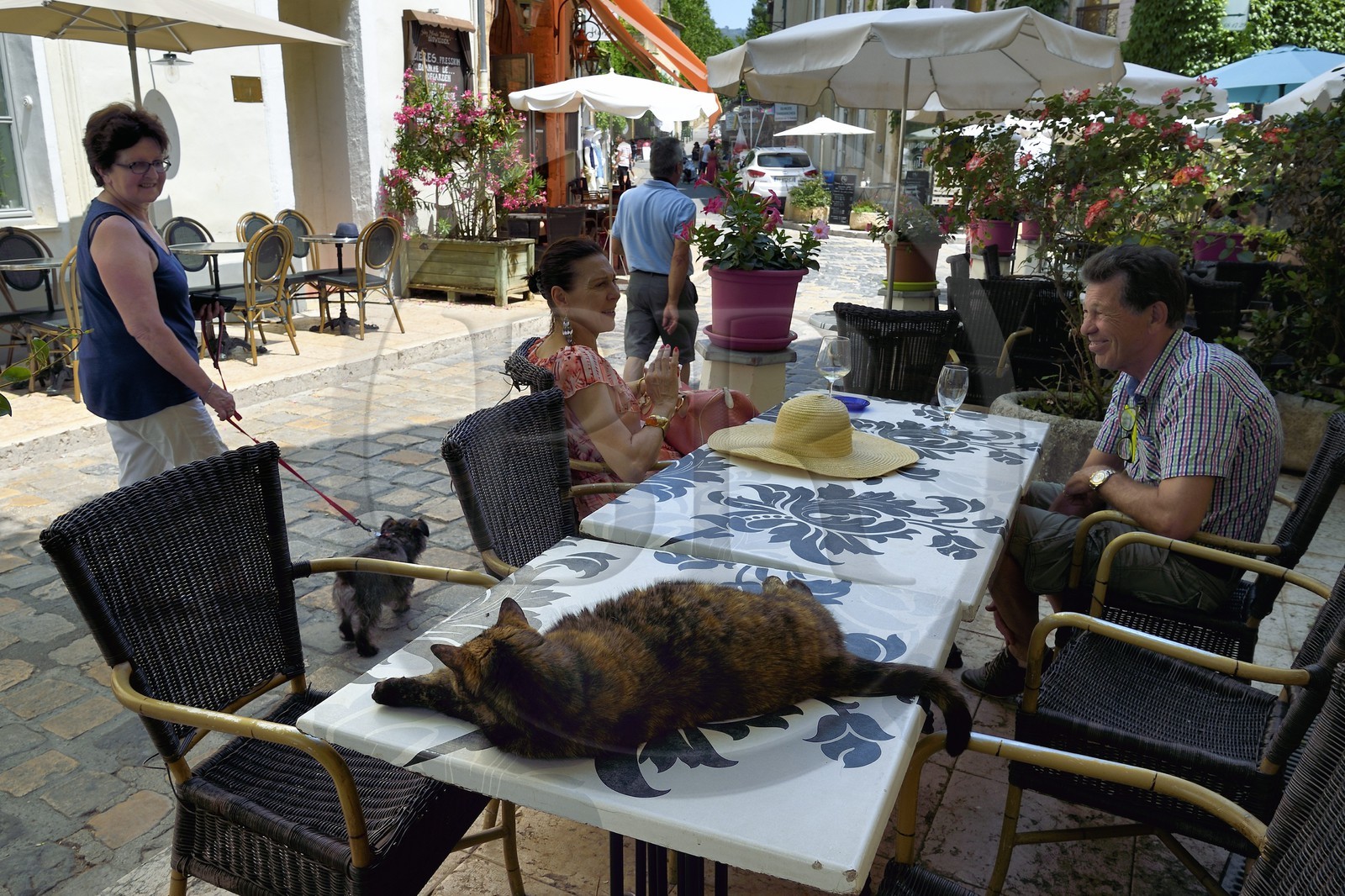 France, Vaucluse (84), Parc Naturel Regional du Luberon, Lourmarin, labellisé Les Plus Beaux Villages de France,