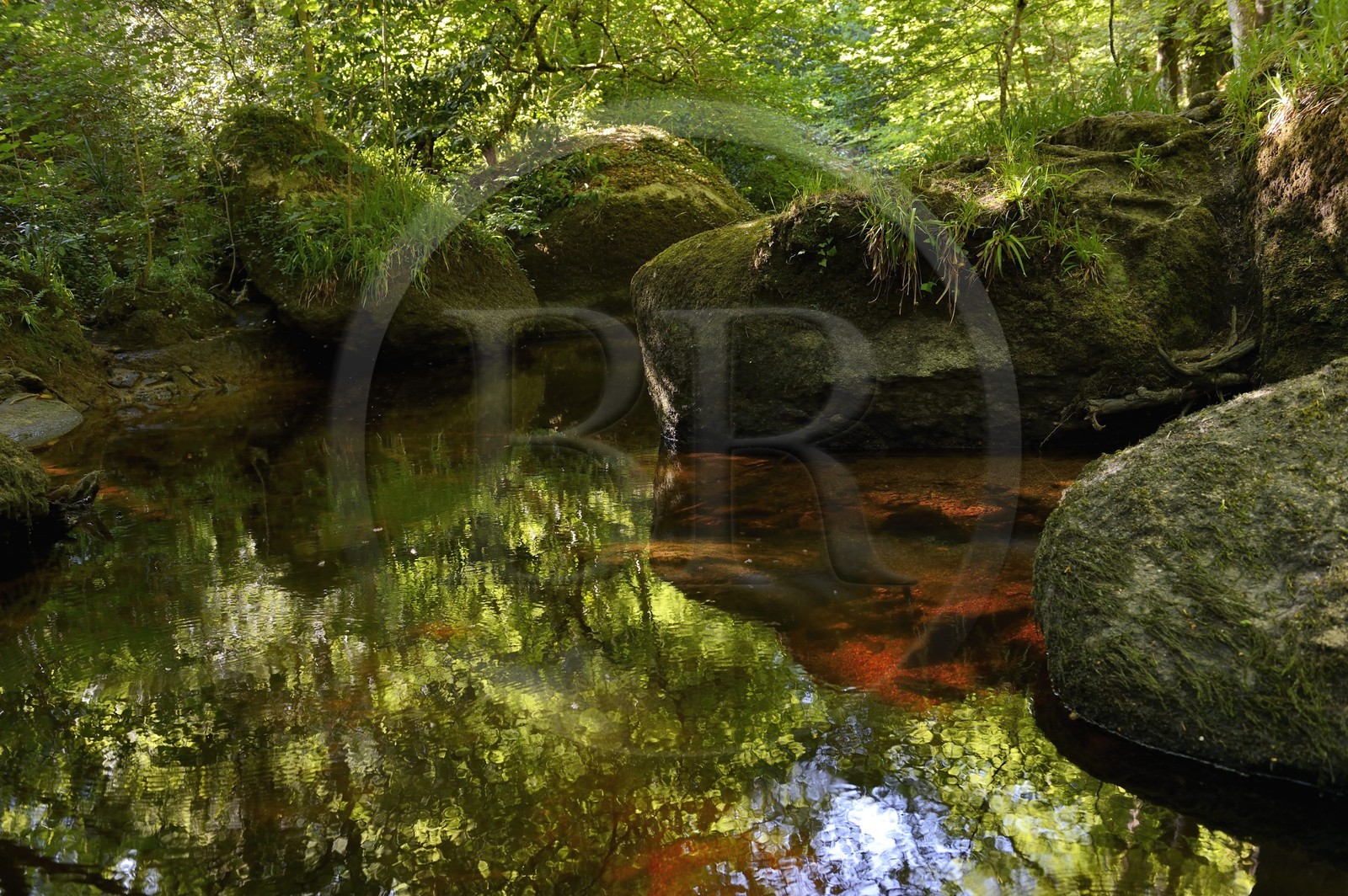 France, Finistère (29), parc naturel régional d'Armorique, Huelgoat, chaos granitique de la forêt du Huelgoat, la forêt se reflète dans l'eau de la rivière d'Argent qui prend parfois une couleur rouge sang