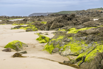 France, Côtes d'Armor (22), Grand Site de France Cap d'Erquy – Cap Fréhel, Fréhel, la plage de l'Anse du Croc et le phare du Cap Fréhel en arrière plan