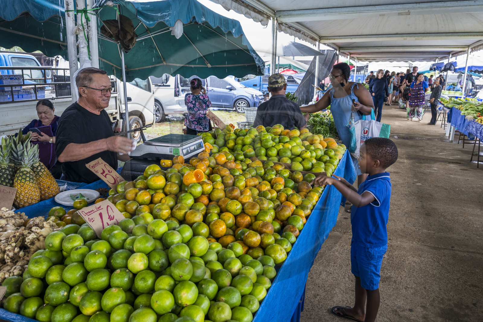 France, Guyane, Javouhey, marché du dimanche Hmong, réfugiés du Laos arrivés en 1978 qui se sont spécialisés dans la culture fruitière, étal de mandarines et citrons verts