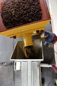 France, Bas Rhin, the Alsace Wine Route, Mittelbergheim, labelled Les Plus Beaux Villages de France (The Most Beautiful Villages of France), pump mounting the grapes of Pinot Gris to the press