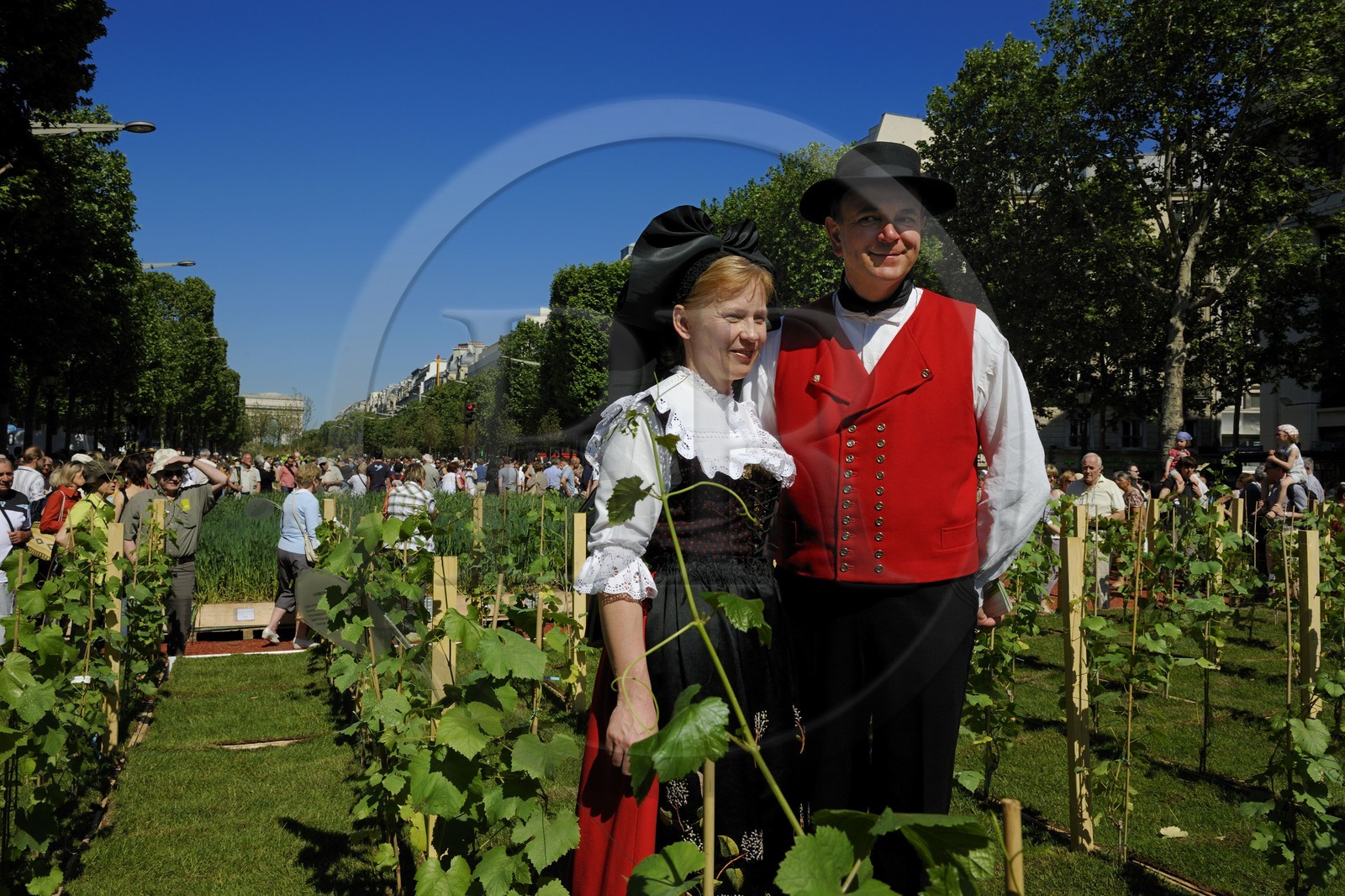France, Paris (75), opération Nature Capitale 2010 sur les Champs-Elysées