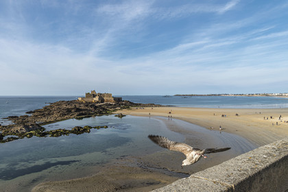 France, Ille-et-Vilaine (35), Côte d'Emeraude, Saint-Malo, Fort National conçu par Vauban et construit par Siméon Garangeau de 1689 à 1693, la plage de l'eventail à marée basse