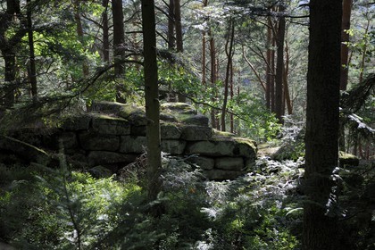 France, Bas Rhin, Mont Saint Odile, Pagan Wall