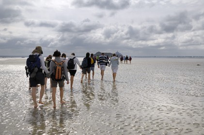 France, Manche, crossing on foot the Bay of Mont Saint Michel, listed as World Heritage by UNESCO