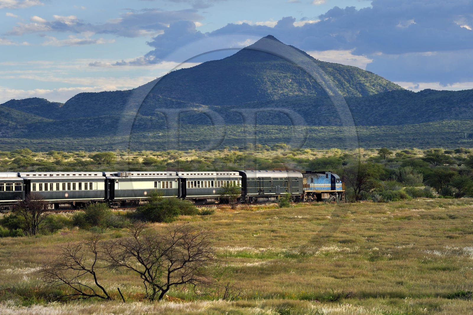 Namibie, région de Erongo, le train Shongololo express traversant le bush namibien