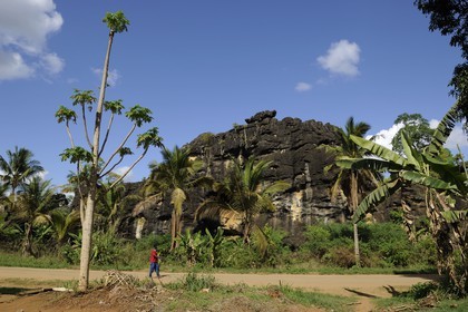 Tanzania, Morogoro district, Uluguru mountains, the Matombo track
