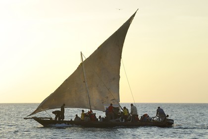 Tanzanie, archipel de Zanzibar, île de Unguja (Zanzibar), côte ouest, un dhow (boutre traditionnel)