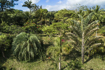 France, Ile de la Reunion, Petite-Ile, jardin tropical (vue aérienne)