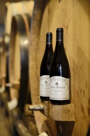 France, Rhône (69), Parc Naturel Régional du Pilat, Ampuis, vignoble AOC Côte Rôtie, bouteille de Côte-Rôtie dans la cave du domaine de Gilles Barge