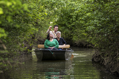 France, Vendée (85), Parc Interrégional du Marais Poitevin labellisé Grand Site de France, Maillezais, batelier effectuant une promenade en barque dans les conches sur les affluents de l'Autise