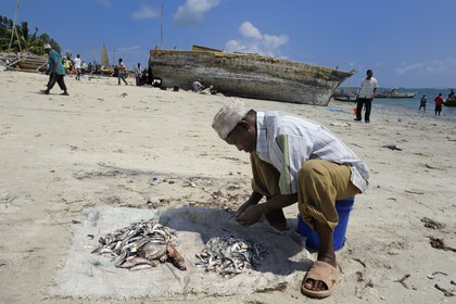 Tanzania, Dar es-Salaam, fish sorting on the beach in front of the Kivukoni fish market