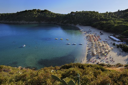 Italy, Tuscany, Elba Island, Fetovaia beach on the South coast