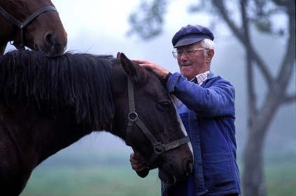 France, Ille et Vilaine, a farmer and his horses