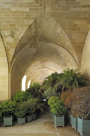 France, Yvelines, Chateau de Versailles, listed as World Heritage by UNESCO, Orangery by Jules Hardouin Mansart in Winter