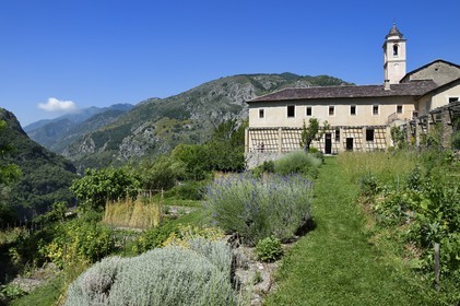 France, Alpes-Maritimes, Roya Valley (Nice hinterland), at the foot of the Mercantour National Park, Saorge, Monastery of Saorge (Centre des monuments nationaux) former Our Lady of Miracles Franciscans Convent; the backyard and the garden