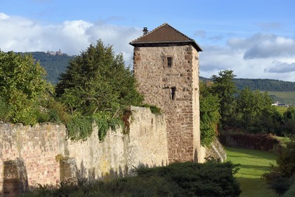France, Haut Rhin, the Alsace Wine Route, Bergheim, medieval walled ancient city, 14th century ramparts