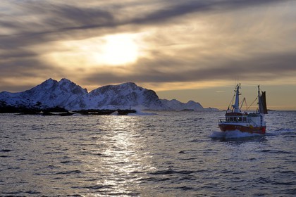 Norvège, Nordland, iles des Westeralen, région de Myre, bateau de pêche du cabillaud skrei