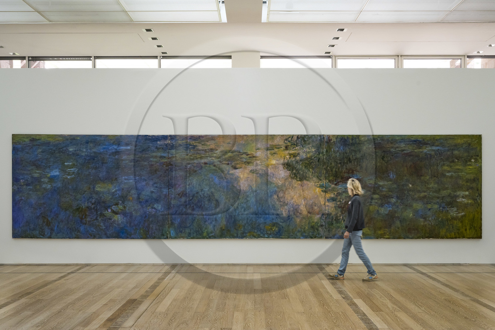 Suisse, Bâle, Riehen, fondation Beyeler, Le Bassin aux Nymphéas de Claude Monnet