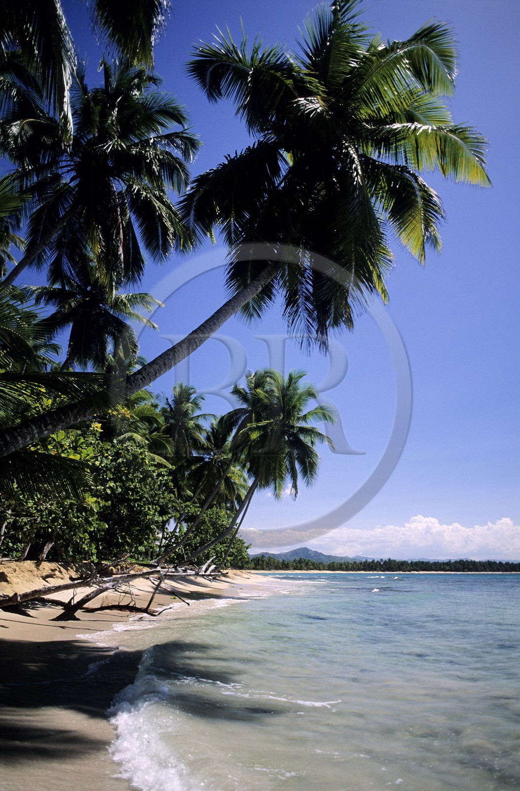 République Dominicaine, péninsule de Samana, plage sauvage et déserte El Limon près de Miches