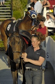 Republic of Ireland, County Meath, Ratoath, Fairyhouse racecourse, presentation of the horses before the race