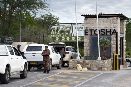 Namibie, région de Oshikoto, Parc National d'Etosha, Anderson Gate