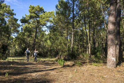 France, Charente-Maritime (17), Royan, La Tremblade, cyclistes utilisant des Fat Bikes sur les chemins sablonneux de la forêt domaniale de la Coubre et des Combots d’Ansoine qui longe l’Atlantique au nord de La Palmyre