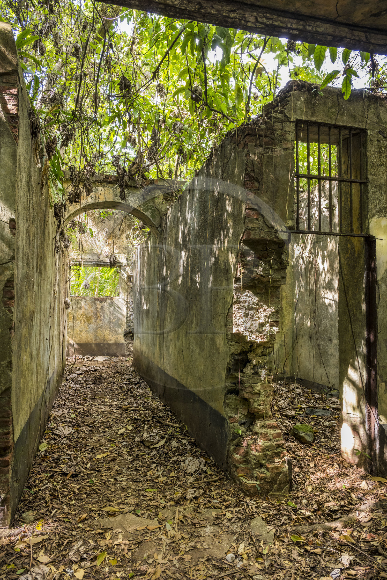 France, Guyane, Kourou, Iles du Salut, l'Ile Saint-Joseph, ruine du bagne consacré à la réclusion des prisonniers les plus difficiles