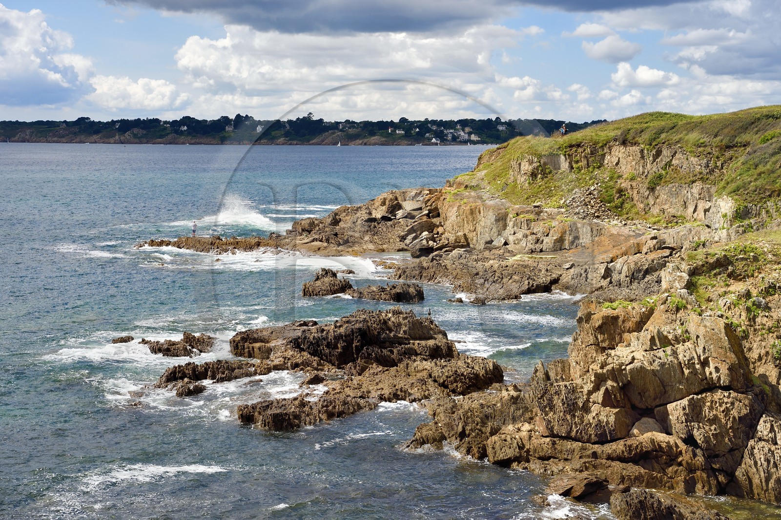 France, Finistère (29), Moelan-sur-Mer, le littoral entre Kerfany les Pins et la plage de Trenez sur le chemin de Grande Randonnée GR 34 ou sentier des douaniers