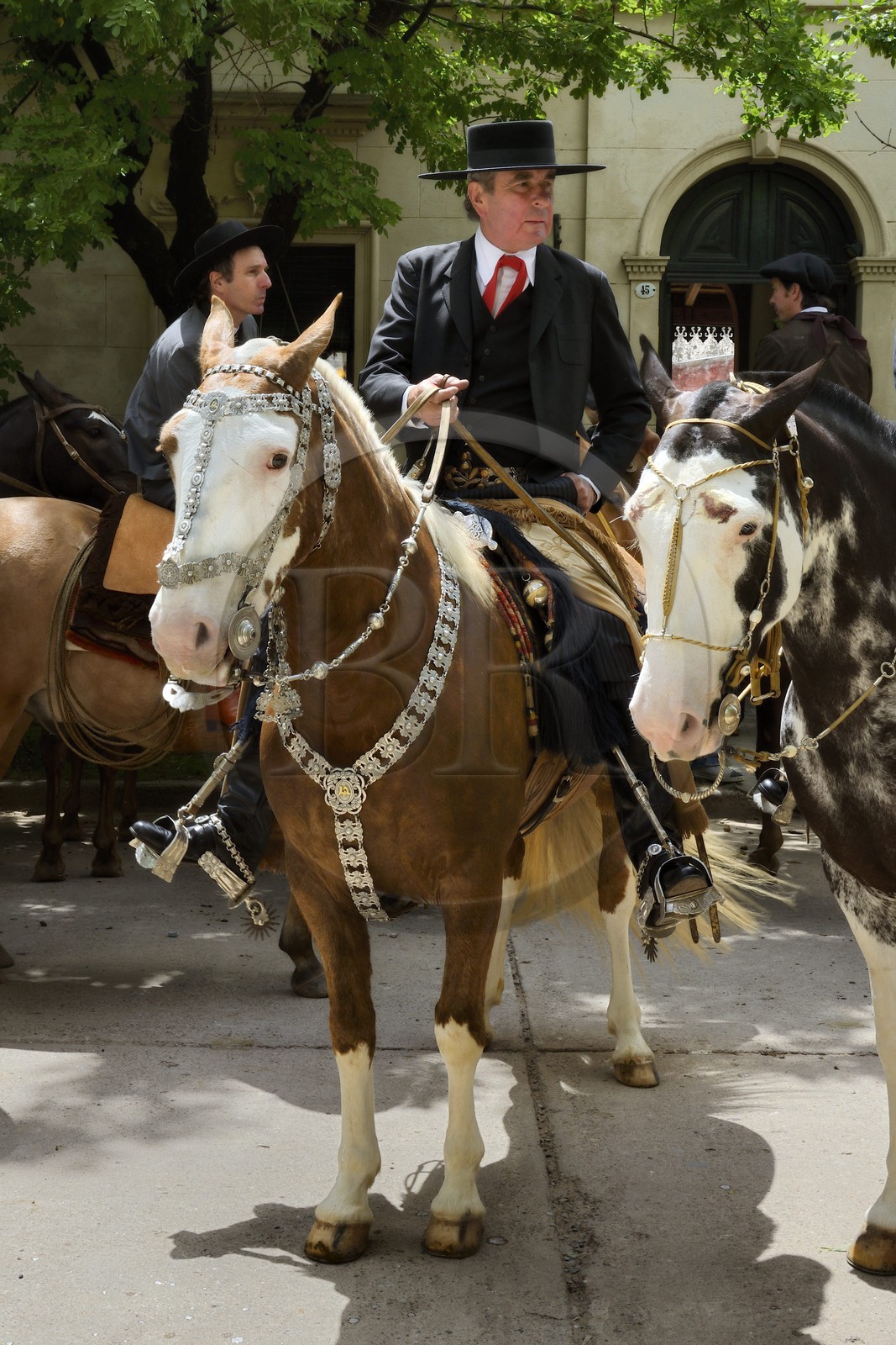 Argentine, province de Buenos Aires, San Antonio de Areco, fête du Jour de la Tradition (Dia de la Tradicion), travail d'orfèvre sur un harnais en argent utilisé lors de grandes occasions par un     estanciero (gaucho propriétaire d'un ranch)