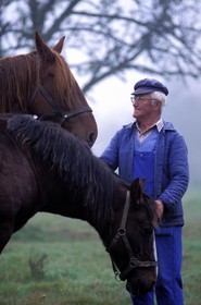 France, Ille et Vilaine, a farmer and his horses
