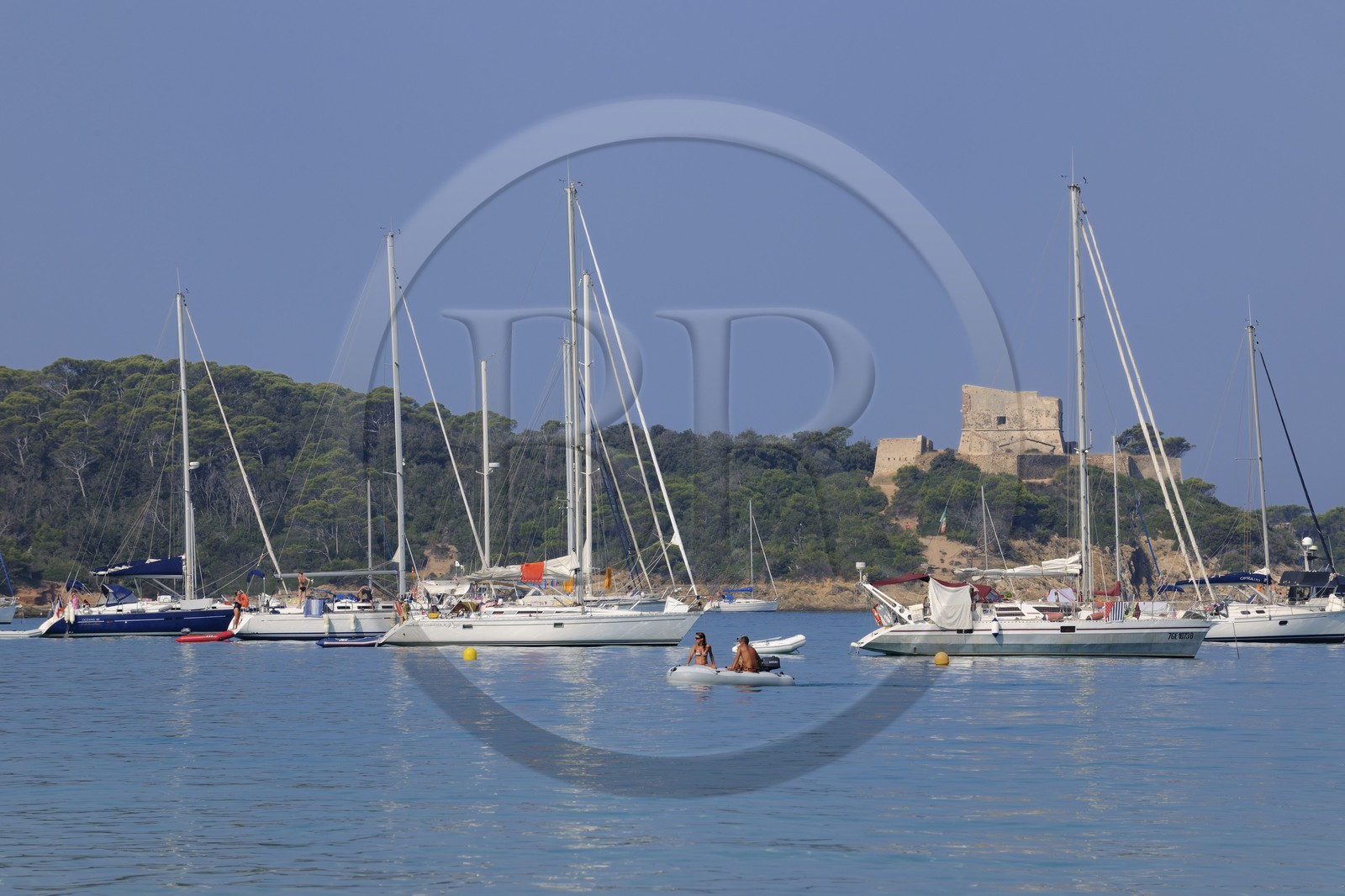 France, Var (83), Iles d'Hyères, parc national de Port-Cros, île de Porquerolles