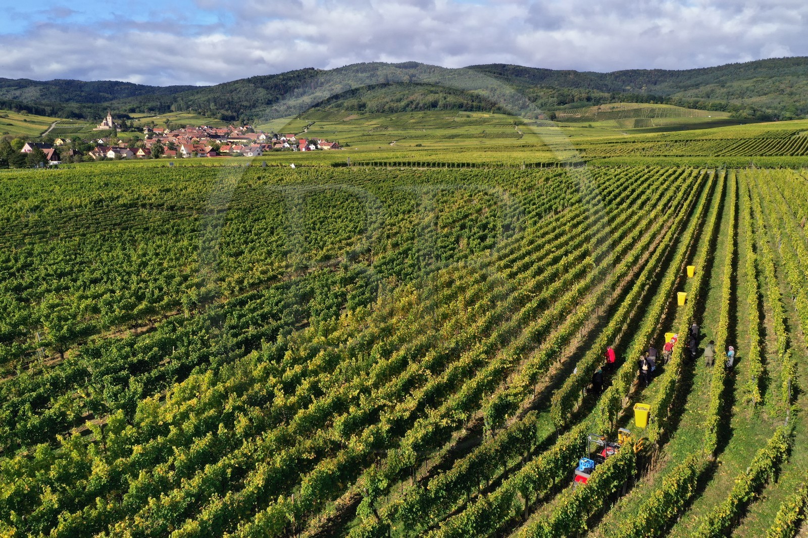 France, Haut-Rhin (68), Route des vins d'Alsace, Ribeauvill