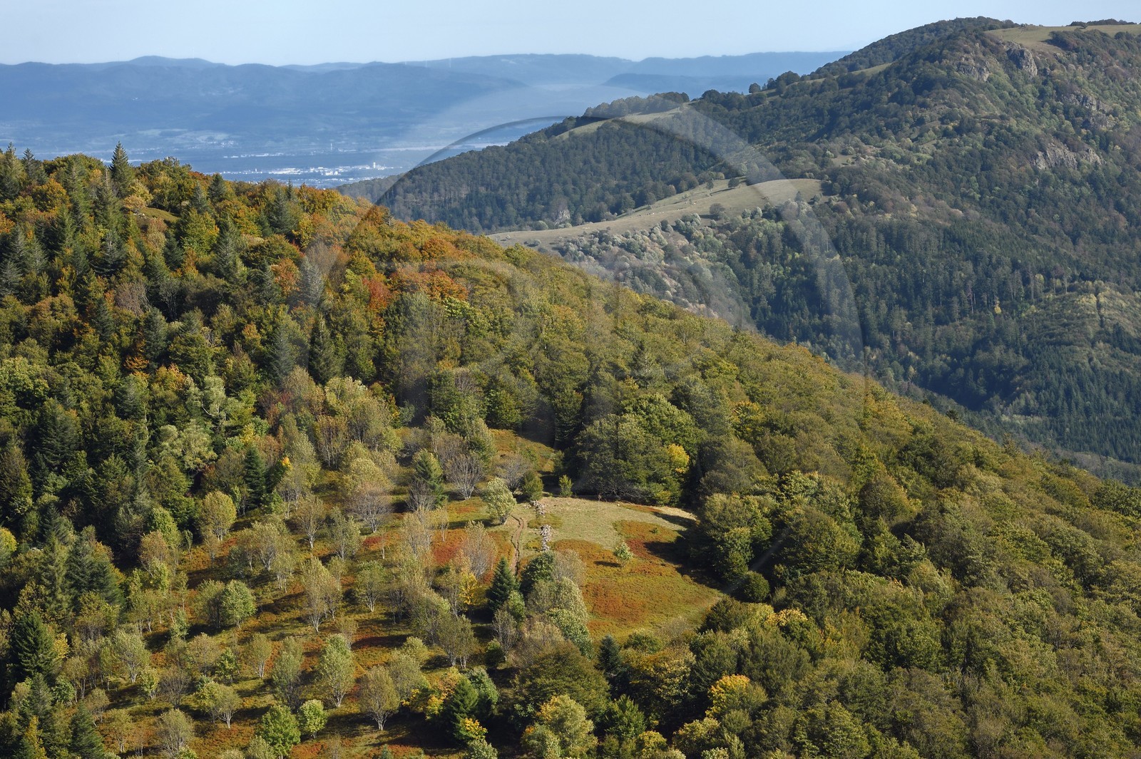 France, Haut-Rhin (68), Parc naturel régional des ballons des Vosges, Rimbach-près-Masevaux, petite chaume ( paturage extensif d'altitude) au dessus du Lac des Perches