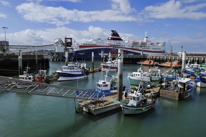 France, Seine-Maritime (76), Le Havre, port de pêche