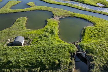 France, Vendée (85), Talmont-Saint-Hilaire, marais de la Guittière dans l'arrière pays de la Pointe du Payré, passage du Cul d’Ane, marais aménagés pour la pisciculture de dorades, mulets et anguilles (vue aérienne)