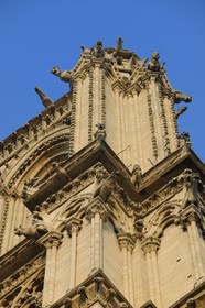 France, Paris (75), Ile de la Cité, cathédrale Notre-Dame de Paris, gargouilles de la tour sud