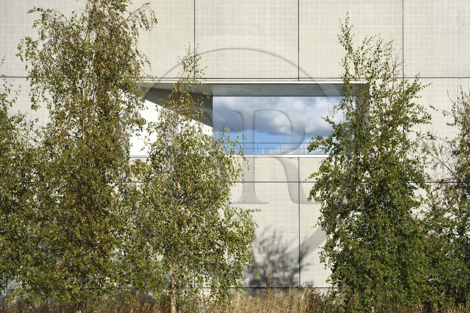 France, Seine-Maritime (76), Le Havre, la piscine les Bains des Docks crée par l'architecte Jean Nouvel