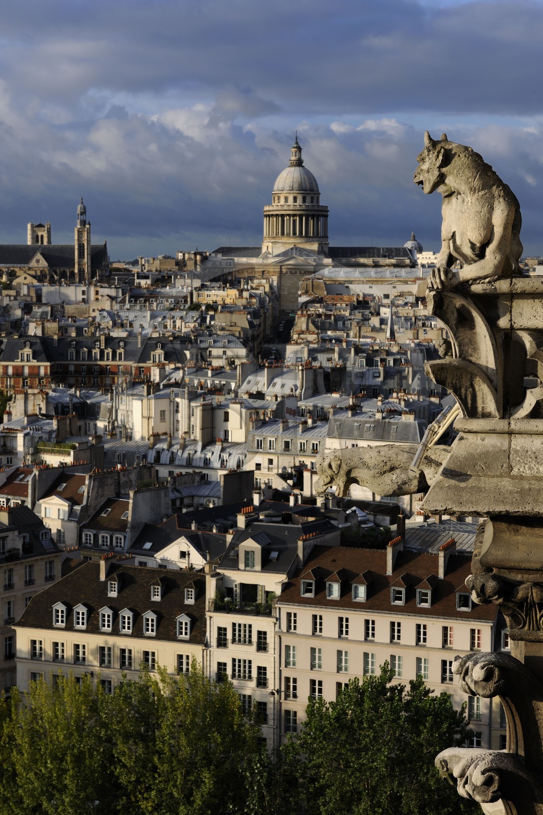France, Paris (75), île de la Cité, la cathédrale Notre-Dame, une chimère observent le Panthéon