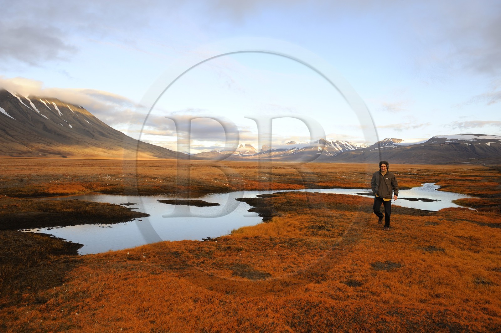 Norvège, Svalbard (Spitzberg), toundra dans la région de Longyearbyen