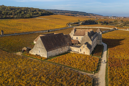 France, Cote d'Or, cultural Landscape of the climates of Burgundy listed as World Heritage by UNESCO, Vougeot, Route des Grands Crus (road of Vintage Wines), the vineyard and the Chateau du Clos de Vougeot (aerial view)