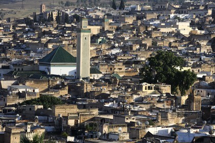 Morocco, Middle Atlas, Fez, Imperial City, Fez El Bali, medina listed as World Heritage by UNESCO, Moulay Idriss Zaouia