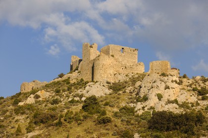 France, Aude, Cathar castle of Aguillar ruins in the heart of Corbieres ..