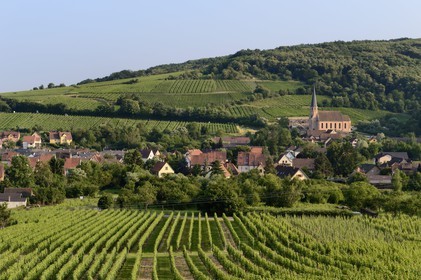 France, Bas Rhin, the Alsace Wine Route, Andlau, the Saint Andre chapel and the vineyard